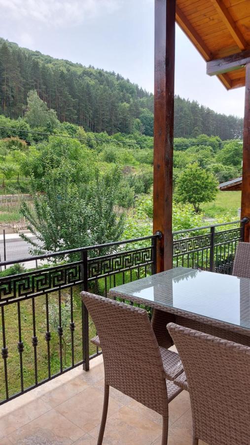 Forest Apartment Sapareva Banya Eksteriør billede