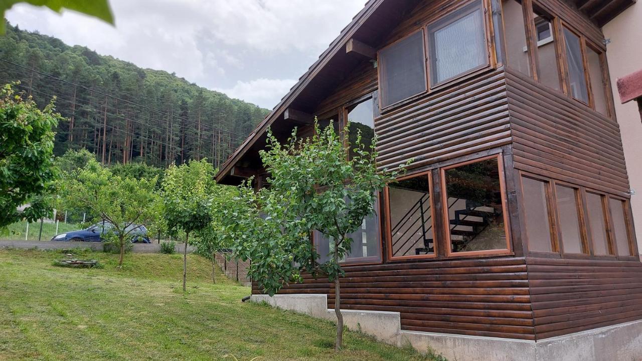 Forest Apartment Sapareva Banya Eksteriør billede