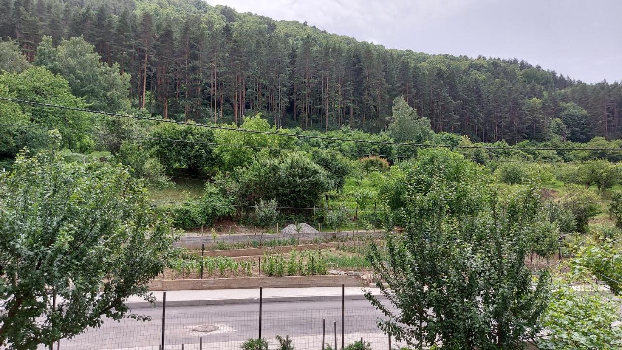 Forest Apartment Sapareva Banya Eksteriør billede